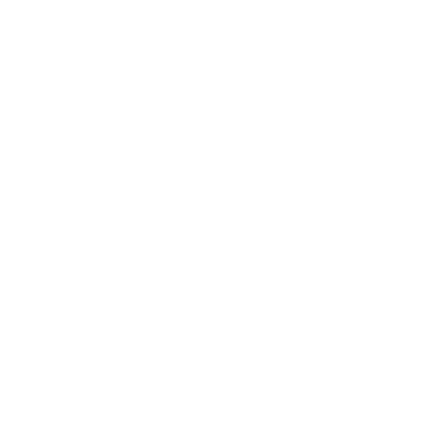 White outlined icon of a phone